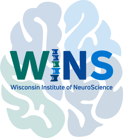 WINS-Brain-Watermark-Logo